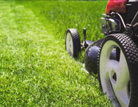 Lawn care in the foothills 