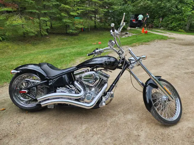 2008 Harley Davidson Springer CVO 110 in Street, Cruisers & Choppers in Winnipeg - Image 5