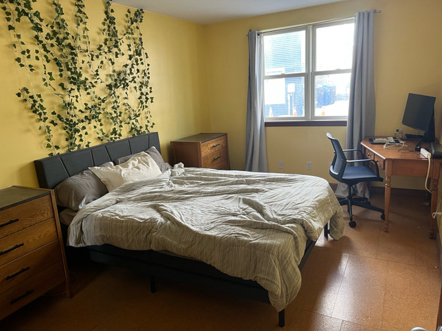 Room for Rent in Room Rentals & Roommates in City of Halifax - Image 2