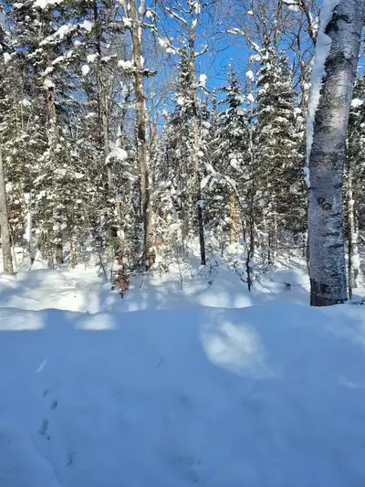 5 acres on dead-end 4 season road close to main skidoo trail mainly hardwood lot. Will have driveway...