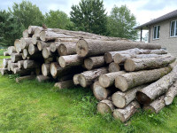 Ash Sawmill logs