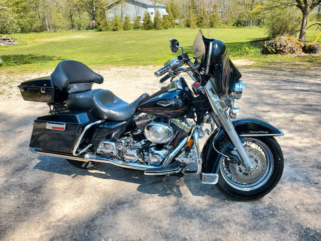 Harley Road King in Touring in Owen Sound - Image 2