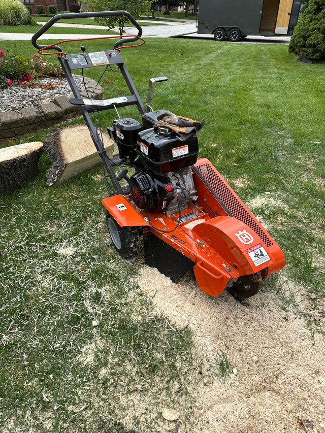 Stump Grinding in Lawn, Tree Maintenance & Eavestrough in Chatham-Kent