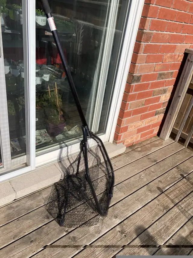 Fishing rods reels multi item in Fishing, Camping & Outdoors in Peterborough - Image 5