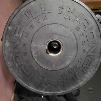 Pair of 45lb Bumper Plates