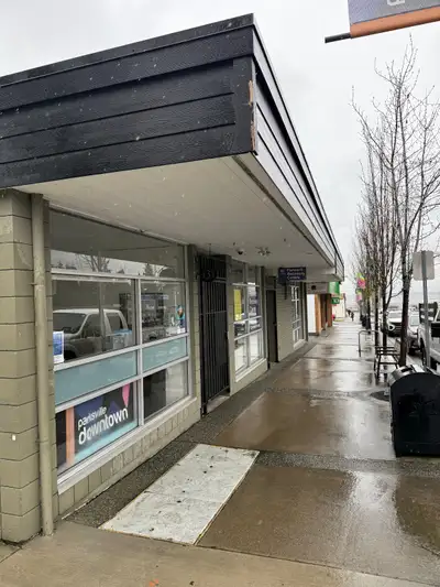 Situation in downtown Parksville on the Alberni highway. The space contains very large common or mee...