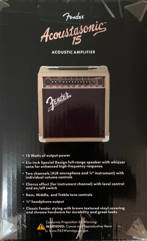 Fender Acoustic Guitar Amplifier (Never Used) in Amps & Pedals in Saint John - Image 3
