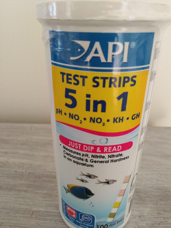 Aquarium 100 Test Strips in Fish for Rehoming in Dartmouth - Image 3