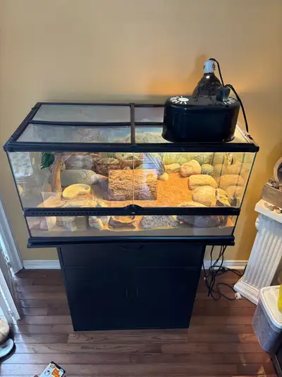 40 gallon reptile terrarium with stand and accessories, View more