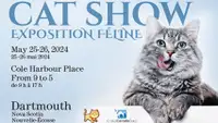 Cat Show Volunteers needed!!!