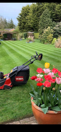 Lawn and Garden Service