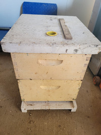 BEE HIVE FOR SALE