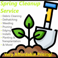Spring Garden Cleanup Service - Very Affordable