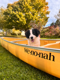 Wenonah Ultra-light Canoes 