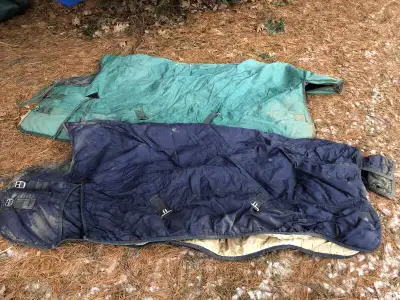 Couvertes hivernales $60/ch, View more