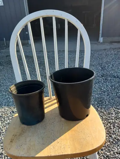 Used-1 gallon pots for .10 each. Used-2 gallon pots for .15 each. Used-3 gallon pots for .20 each. M...