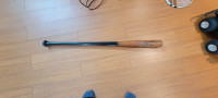 Fungo baseball bat for coaches