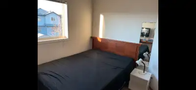 Upper Room for Rent: quiet, clean, safe neighborhood near Pan