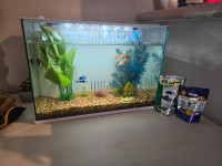 Fish tank with fish and food