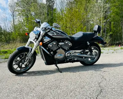 Harley Davidson V-Rod Street 2006 Avec options originals Harley Davidson. Femme propriétaire. Mise a...