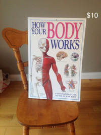 "How Your Body Works"- Large (I mean Huge!) Board Book