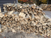 Poplar Firewood - sold pending pick-up