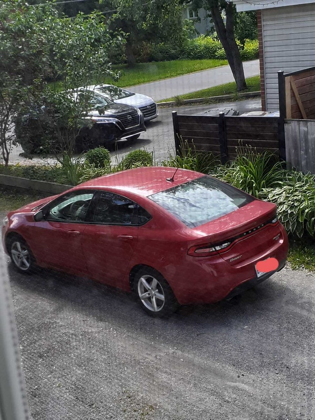 Dodge dart rally