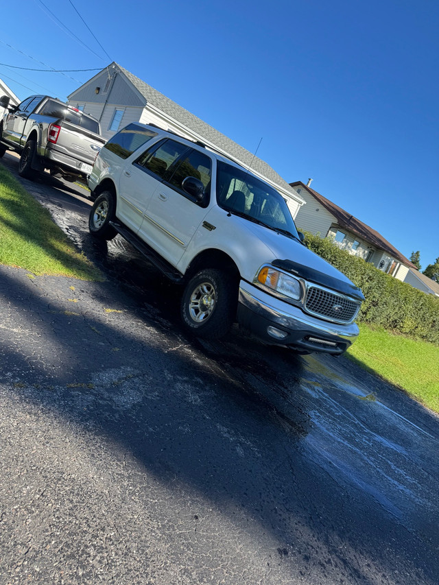 1999 Ford Expedition LOW KM in Cars & Trucks in Thunder Bay