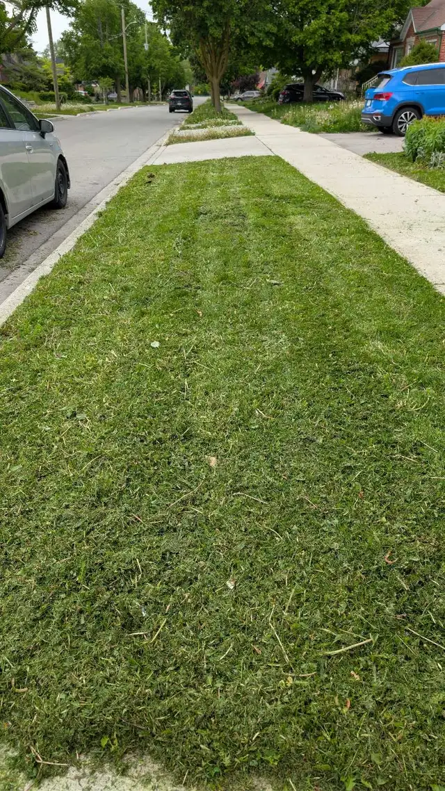 Lawn Care in Lawnmowers & Leaf Blowers in Kitchener / Waterloo - Image 5