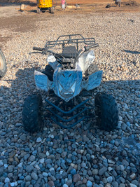 Kids quad bought three years ago, needs new battery