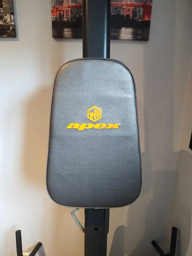 APEX Chin up and Dip station63373373869443121