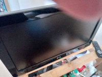 LG TV (20+ Inches)