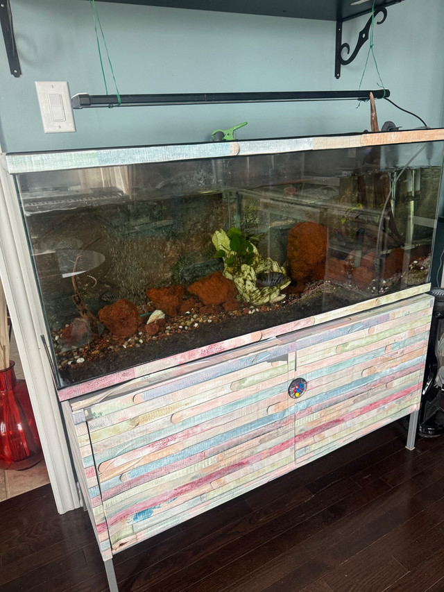 65 gallon aquarium  in Fish for Rehoming in Markham / York Region - Image 2