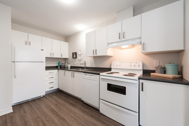 2 Bedroom Garden Home  - Fenced Yard & In suite Laundry in Long Term Rentals in Ottawa - Image 4