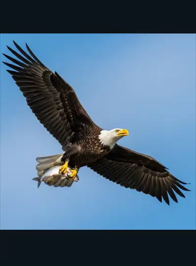 looking for a getaway , View more