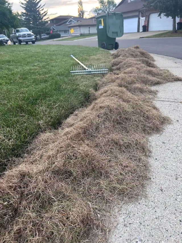 Weed removal and yard work.62863239292545124