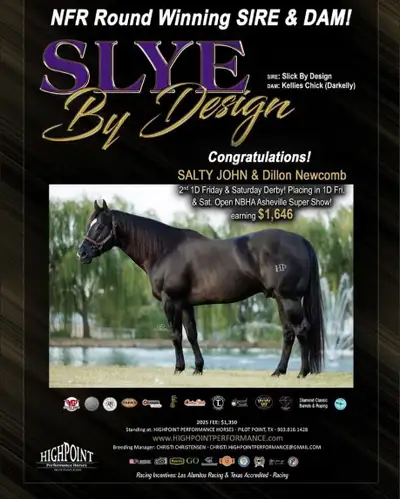 Son of SLYE BY DESIGN out of a Famous Bugs daughter, View more