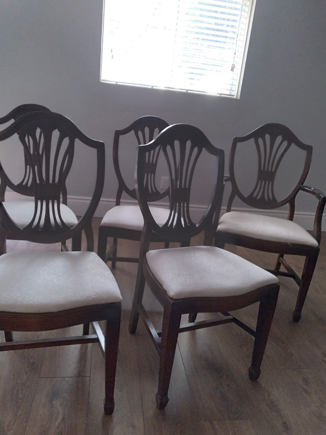 6 mahogany dining chairs in Chairs & Recliners in Kingston