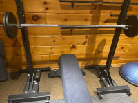 Mobile squat rack. chin-up bar