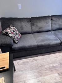 Couch and chaise from the Brick