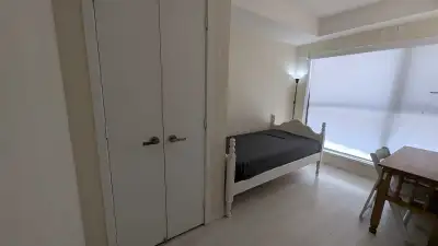 Looking for a clean and respectful roommate to take the furnished bedroom in a 3 bed, 2 bath condo u...