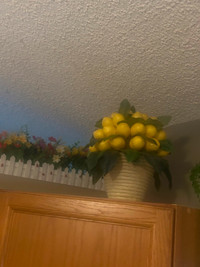 Lemon tree decor