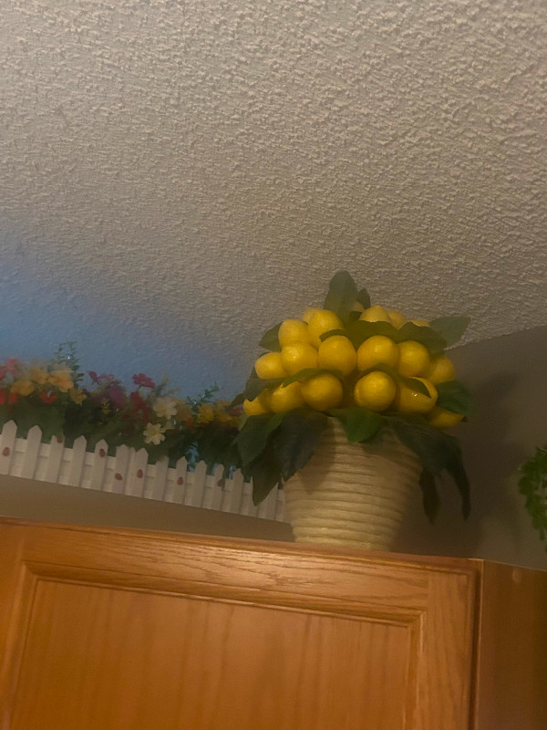 Lemon tree decor in Home Décor & Accents in Edmonton