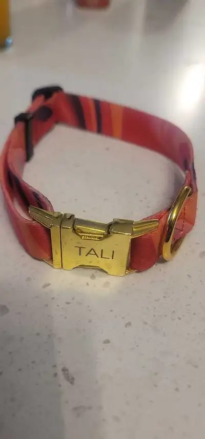 collier et laisse pour grand chien, View more