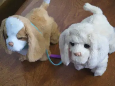 FurReal Friends Puppies touch theirs backs and they walk $25 gets you both Pick up in Seaforth, PICK...