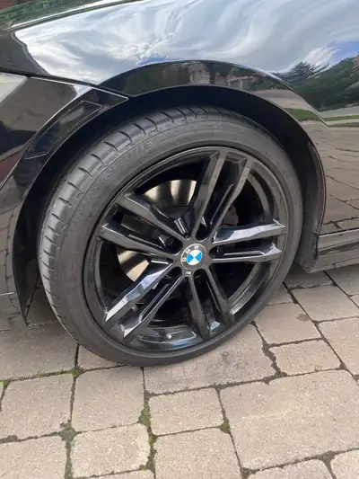 The condition of the rims and tires are basically brand new. The tires have so much tread, they were...
