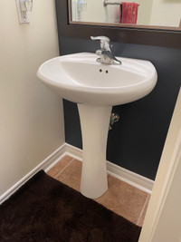 Pedestal porcelain sink and leg