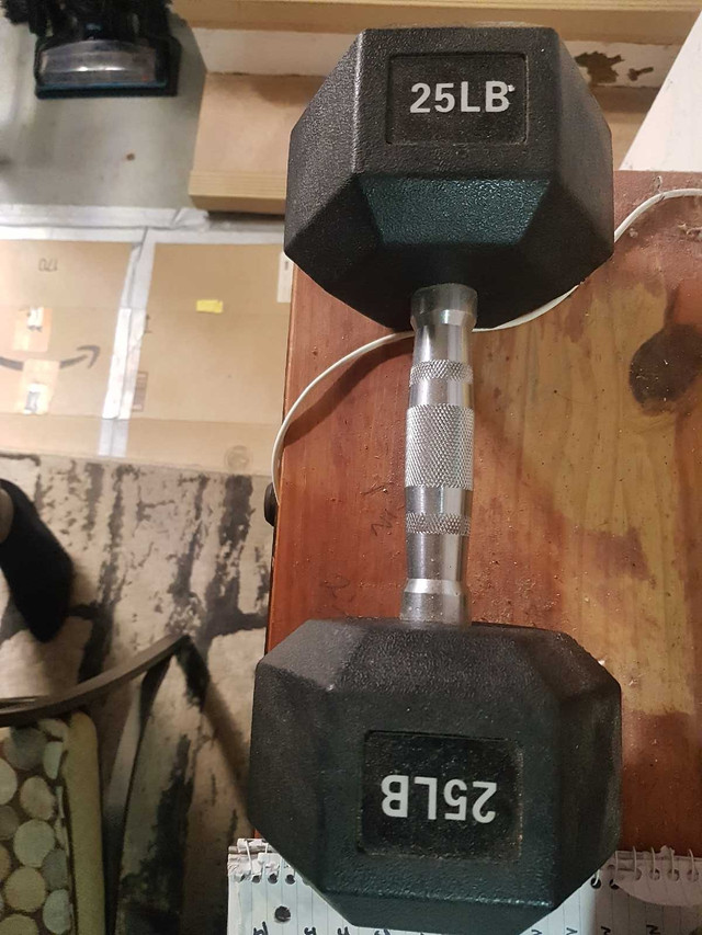 25 lbs dumbbell  in Exercise Equipment in Kitchener / Waterloo