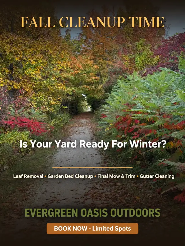 Evergreen Oasis Outdoors Fall Cleanup