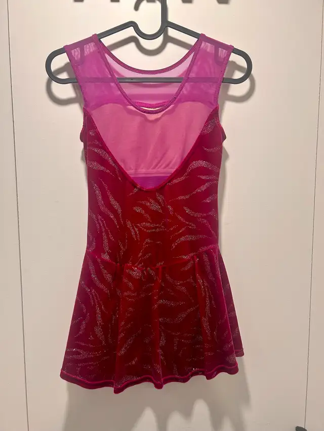 Artistic skating dress62863269158785121